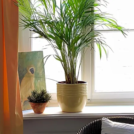 Epic Location Дюссельдорф